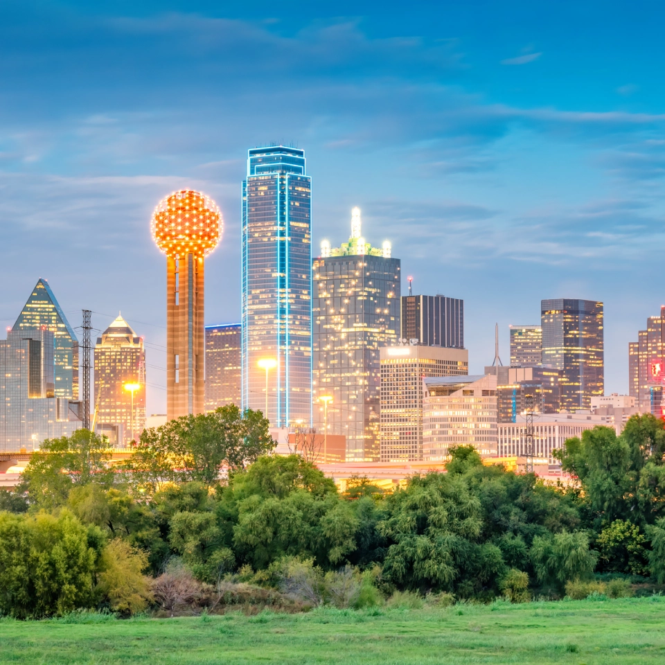 Dallas limo service